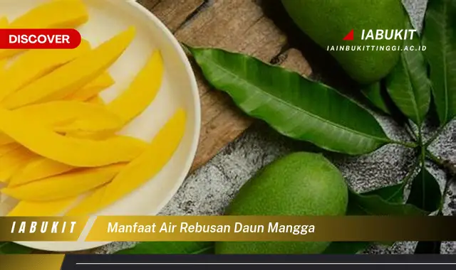 manfaat air rebusan daun mangga