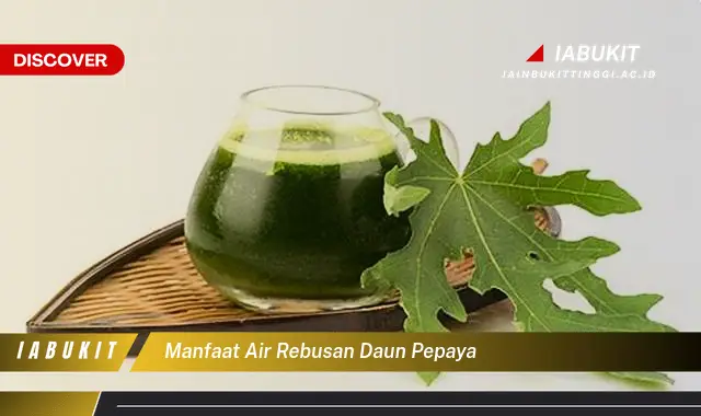 manfaat air rebusan daun pepaya