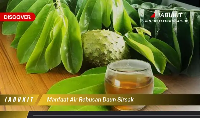 manfaat air rebusan daun sirsak