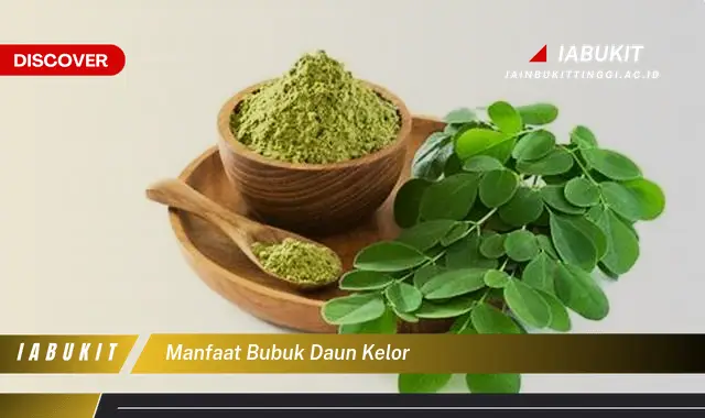 manfaat bubuk daun kelor