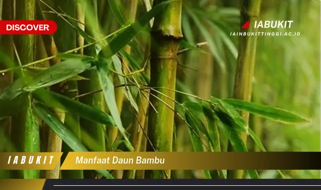 manfaat daun bambu