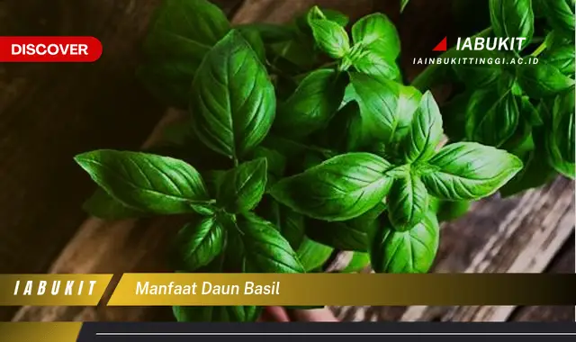 Intip 7 Manfaat Daun Basil Yang Bikin Kamu Penasaran Discover