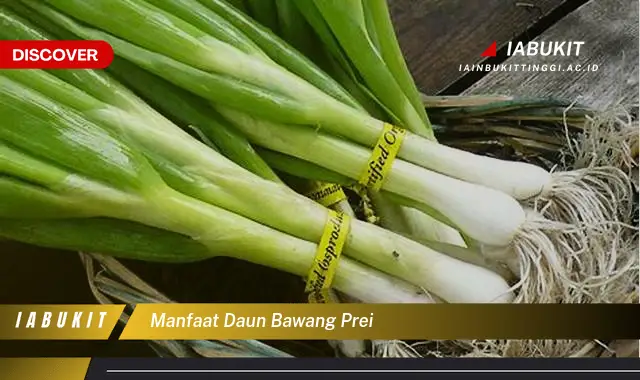 Bikin Penasaran, Ketahui 7 Manfaat Daun Bawang Prei yang Jarang Diketahui