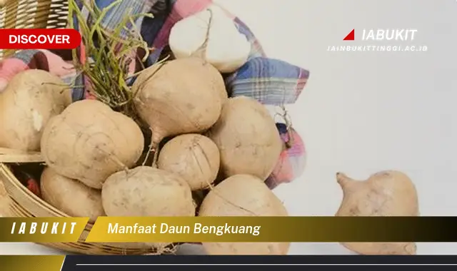 manfaat daun bengkuang