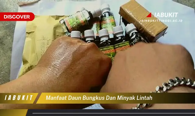 manfaat daun bungkus dan minyak lintah