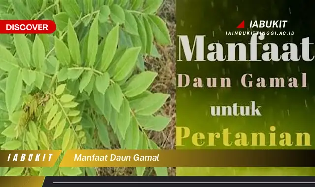 manfaat daun gamal