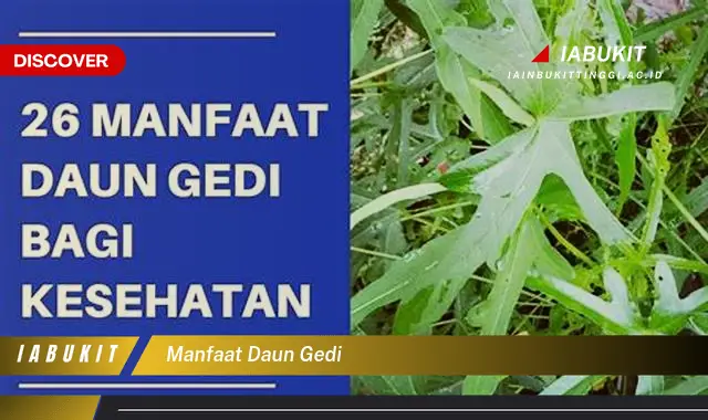 manfaat daun gedi