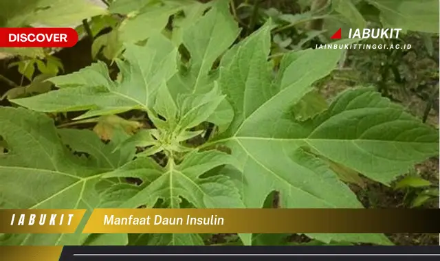 manfaat daun insulin