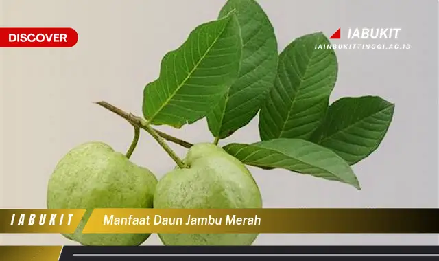 manfaat daun jambu merah