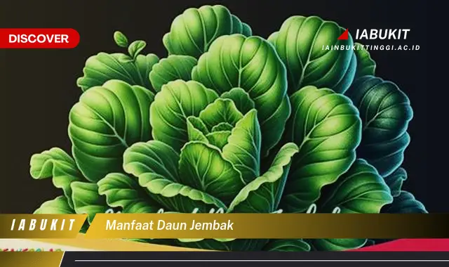 manfaat daun jembak