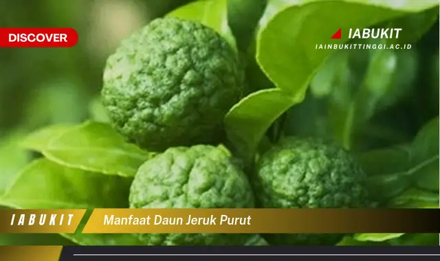 manfaat daun jeruk purut