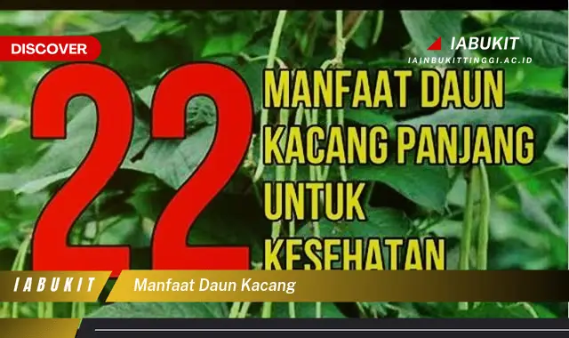 manfaat daun kacang