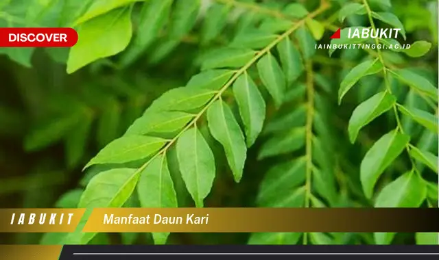 manfaat daun kari