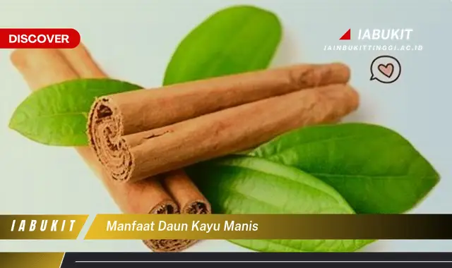 manfaat daun kayu manis