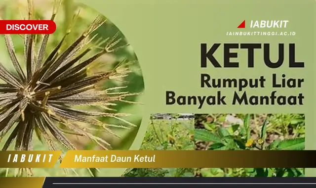 manfaat daun ketul