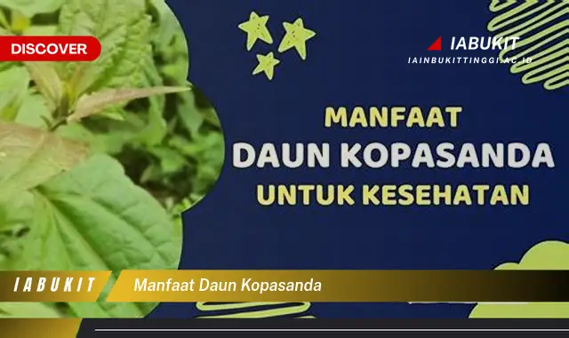 manfaat daun kopasanda