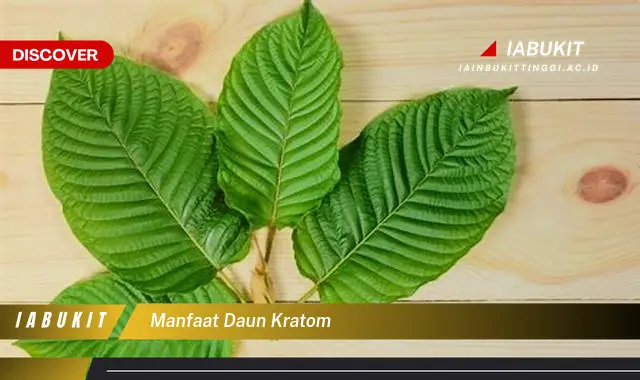 manfaat daun kratom