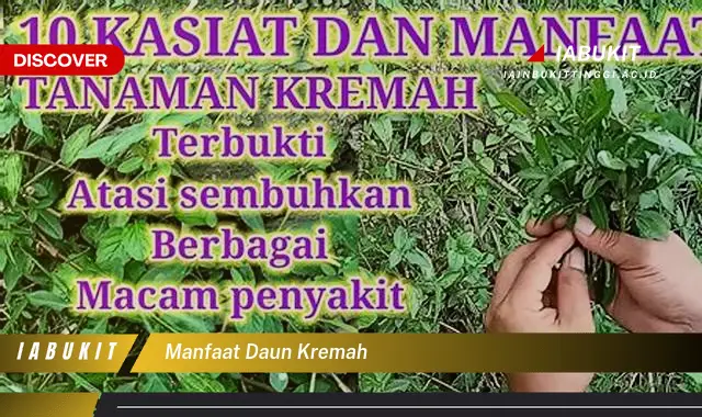 manfaat daun kremah