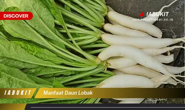 manfaat daun lobak