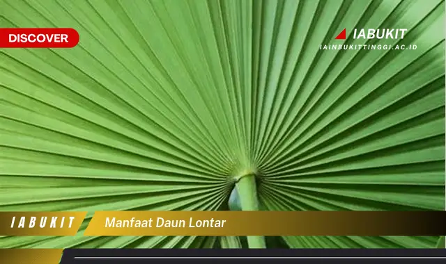 manfaat daun lontar