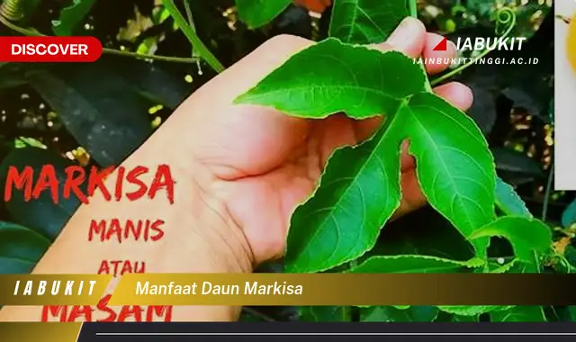 manfaat daun markisa