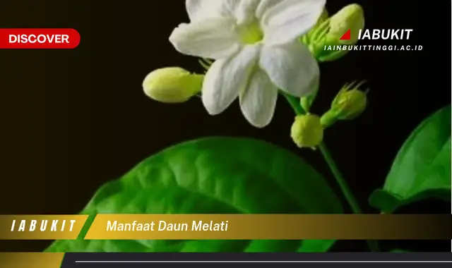 manfaat daun melati