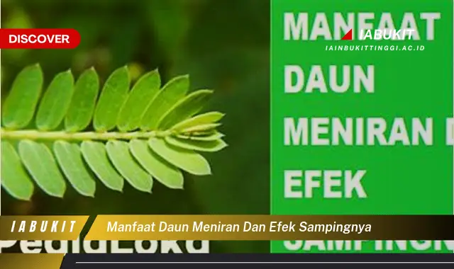 manfaat daun meniran dan efek sampingnya