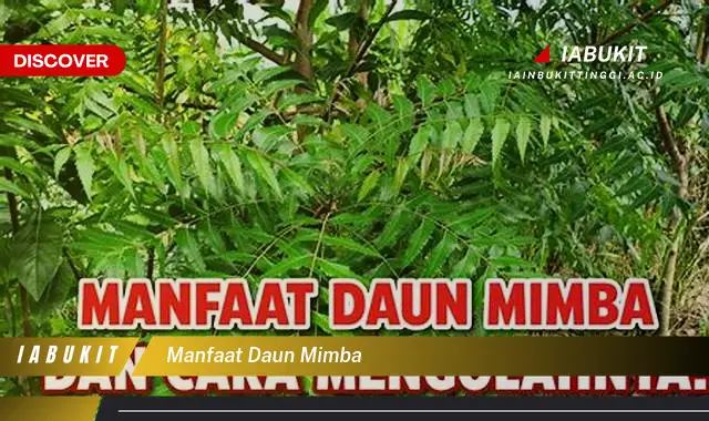 manfaat daun mimba