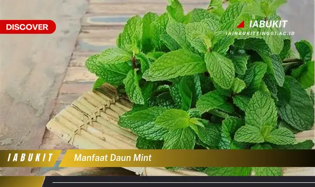 manfaat daun mint