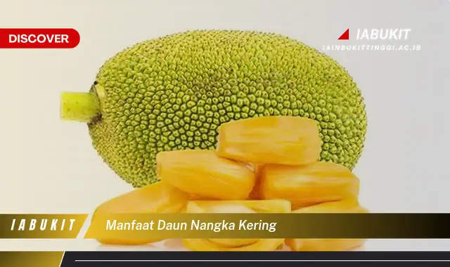 manfaat daun nangka kering