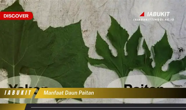 manfaat daun paitan