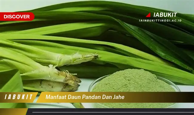 manfaat daun pandan dan jahe