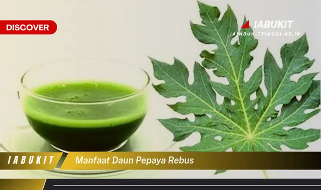 manfaat daun pepaya rebus