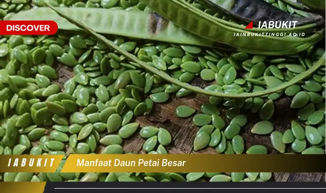 manfaat daun petai besar