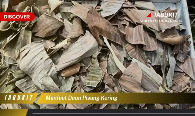 manfaat daun pisang kering