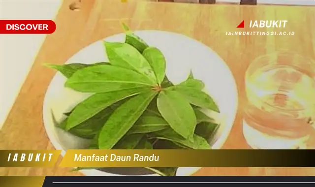 manfaat daun randu