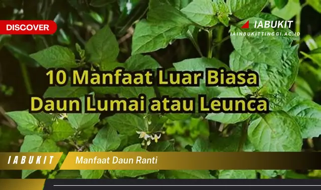 manfaat daun ranti