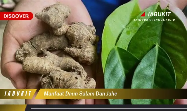 manfaat daun salam dan jahe