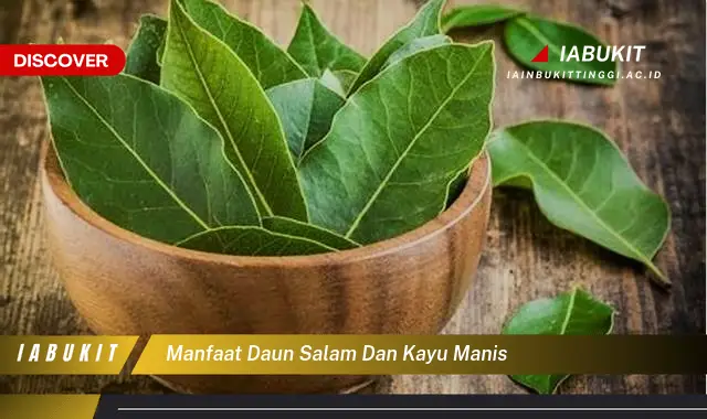 manfaat daun salam dan kayu manis