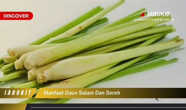 manfaat daun salam dan sereh