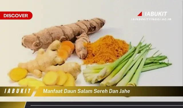 manfaat daun salam sereh dan jahe