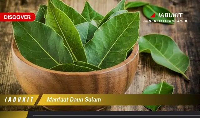 manfaat daun salam