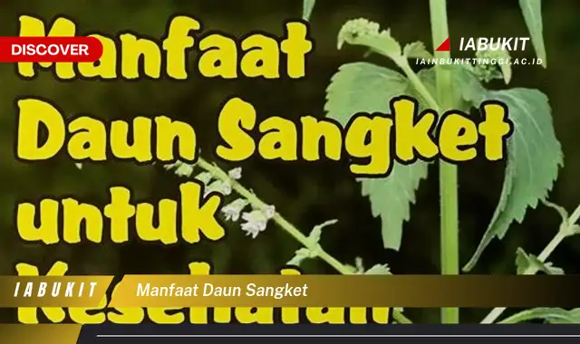 manfaat daun sangket