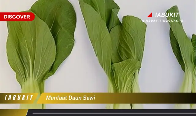 manfaat daun sawi