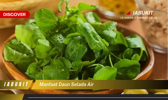 manfaat daun selada air