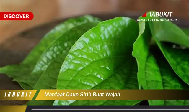 manfaat daun sirih buat wajah