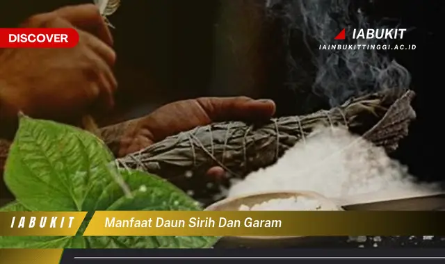 Bukan cuma daun kemangi? Ini dia 7 manfaat daun sirih dan garam yang wajib diketahui