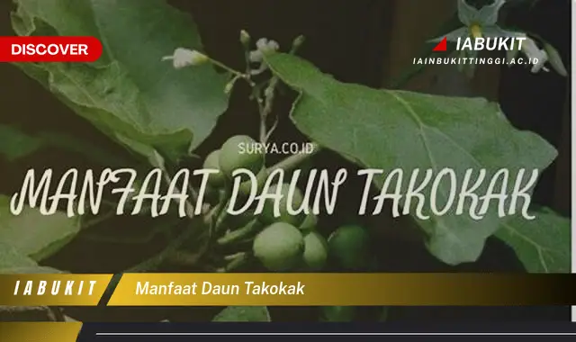 manfaat daun takokak