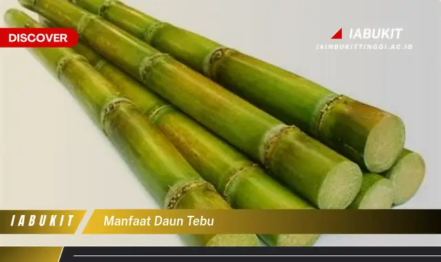 manfaat daun tebu