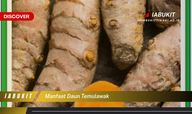 manfaat daun temulawak